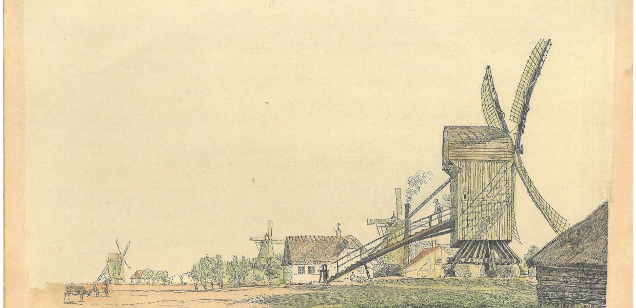Køge møller og høns