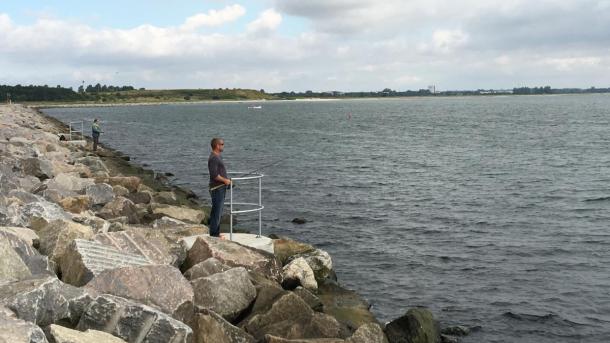 Fiskere på Køge Marina