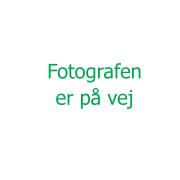 Fotografen er på vej