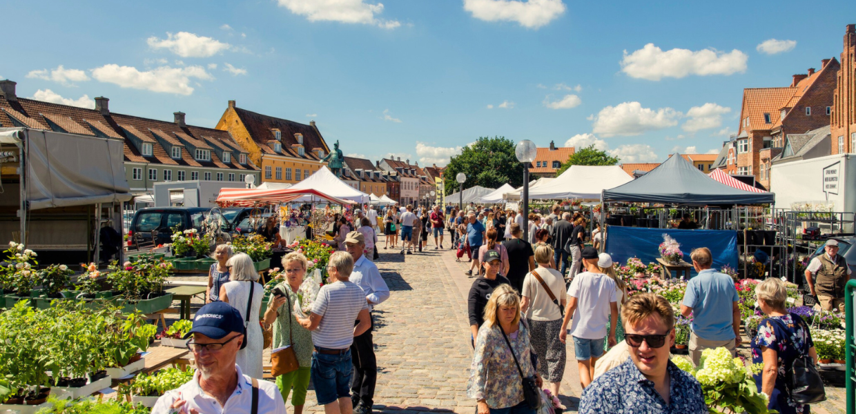 Torvedag sommer