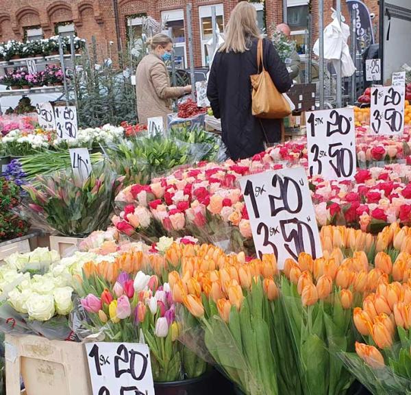 Blomsterhav på Køge Torv