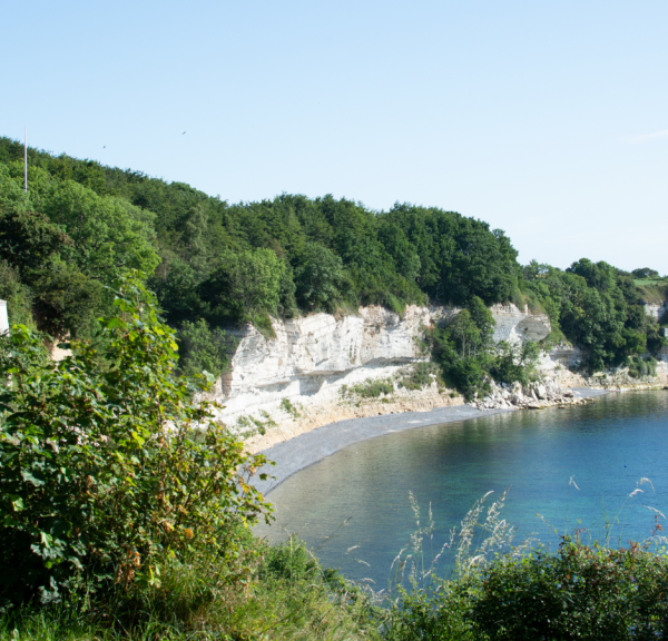 Stevns Klint og kirken