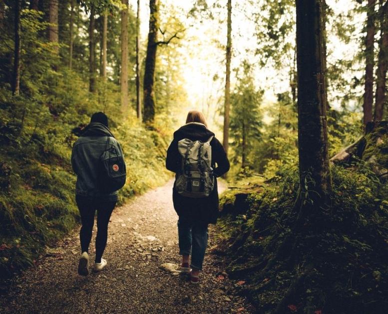 To vandrere i skoven 